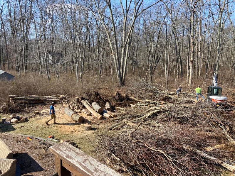 Land Clearing & Demolition
