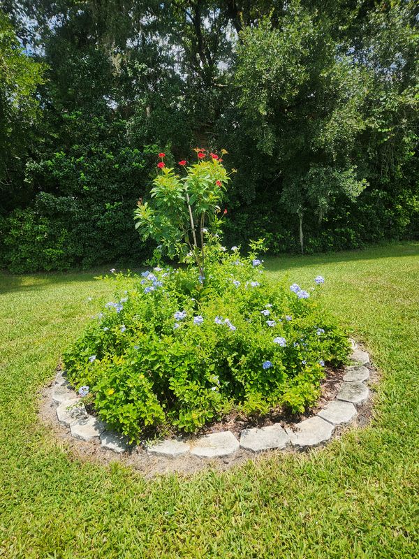 Landscape Design