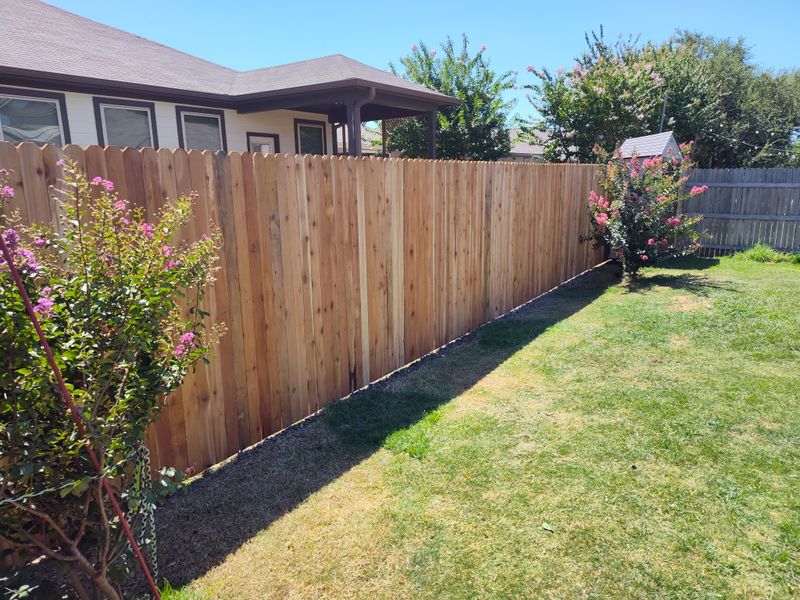 Fencing Repair & Installation