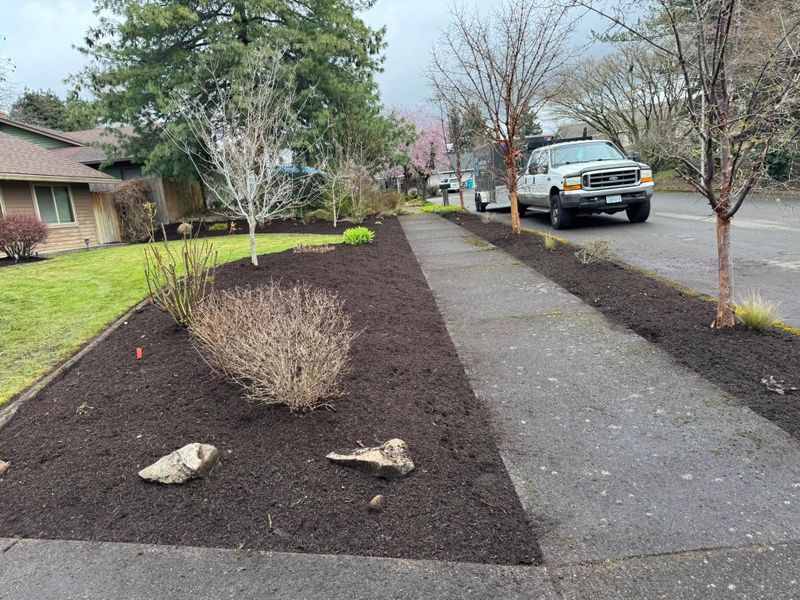 Shrub Trimming