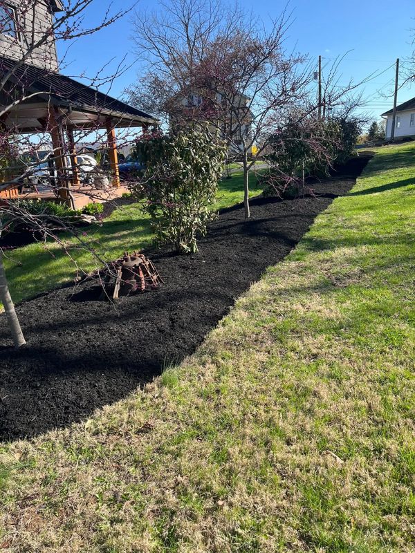 Shrub Trimming
