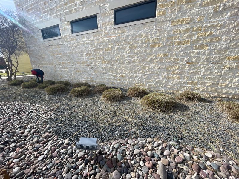 Landscape Installation