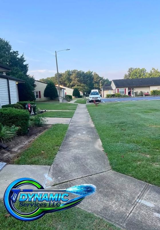 Driveway and Sidewalk Cleaning
