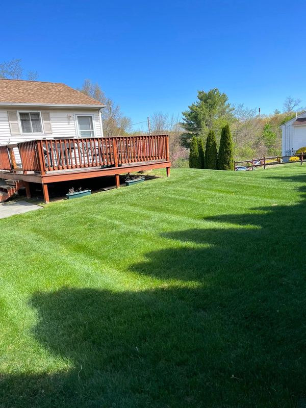 Mowing