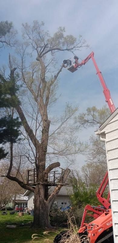 Tree Trimming