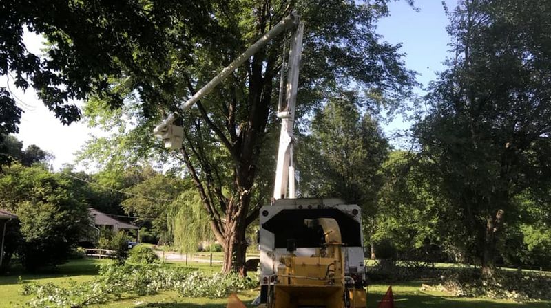 Tree Pruning