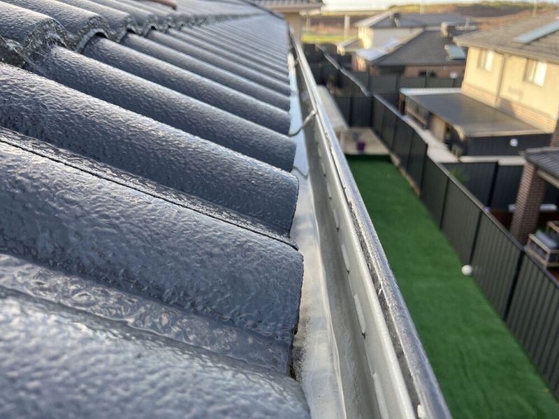 Gutter Cleaning