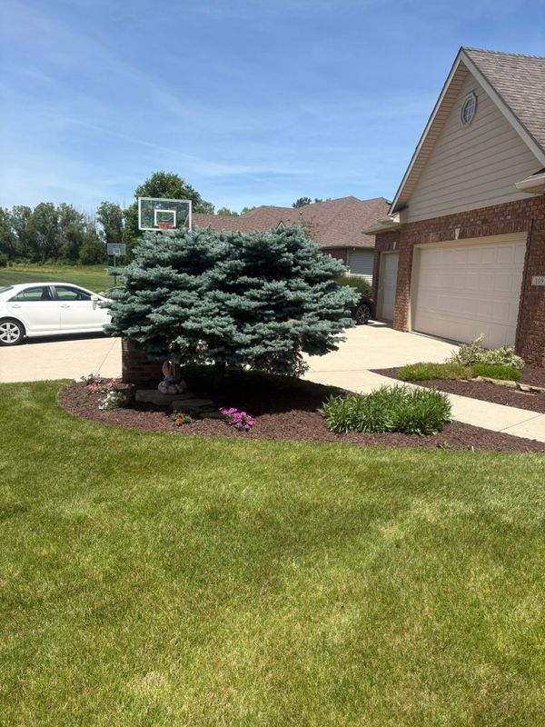 Landscape Design & Installation