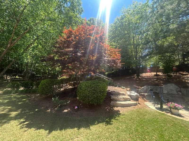 Landscape Design