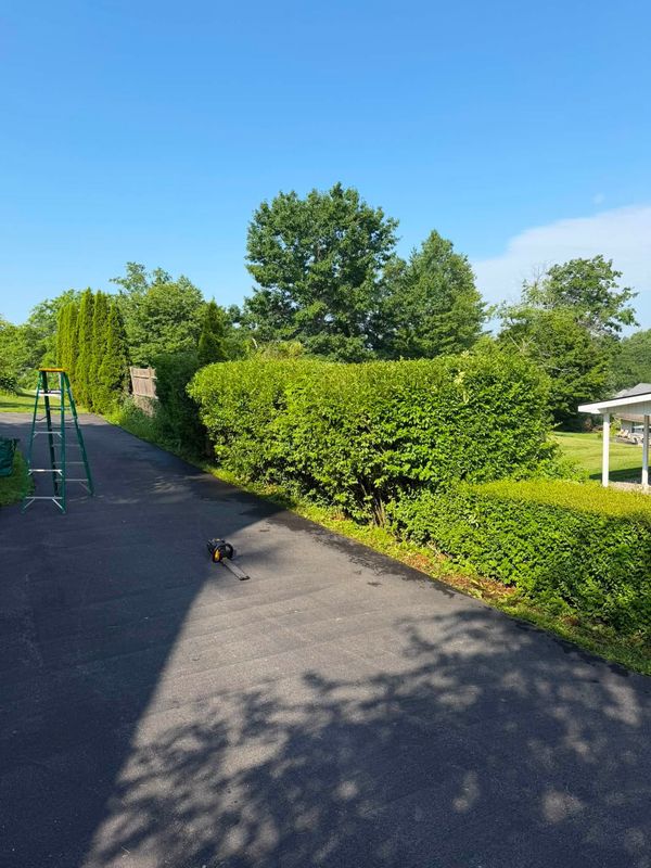 Lawn Care & Maintenance