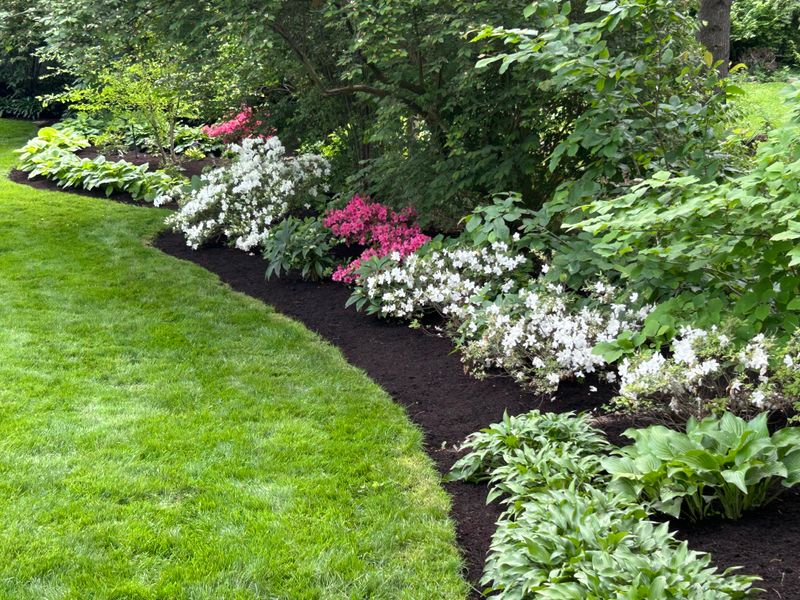 Garden Bed Installation