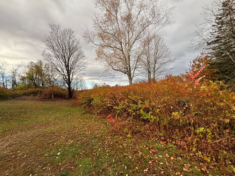 Field Reclaiming