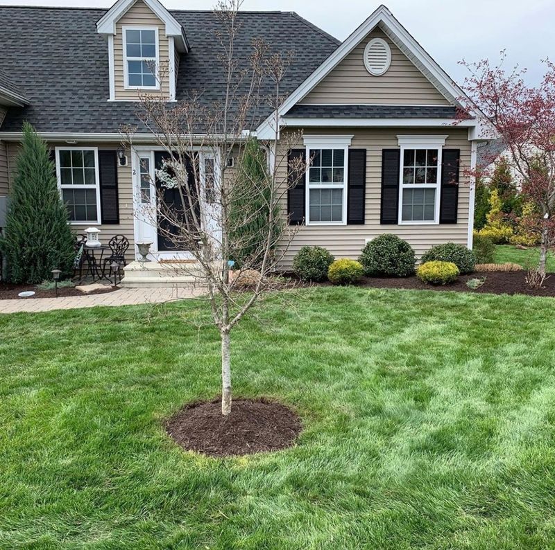 Landscaping