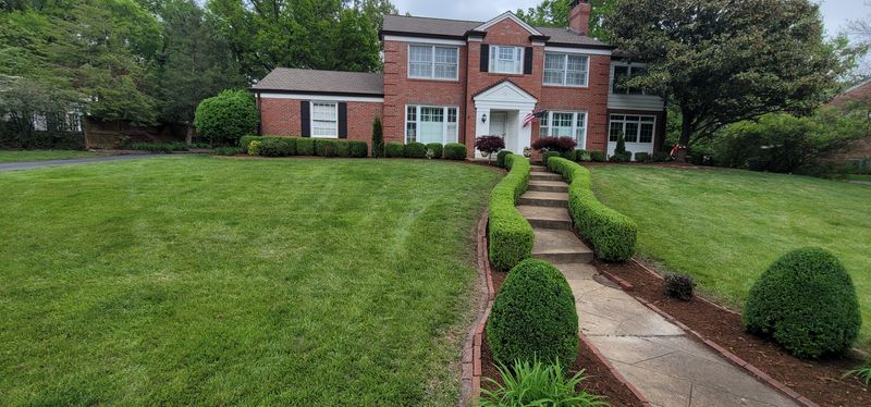 Shrub Trimming