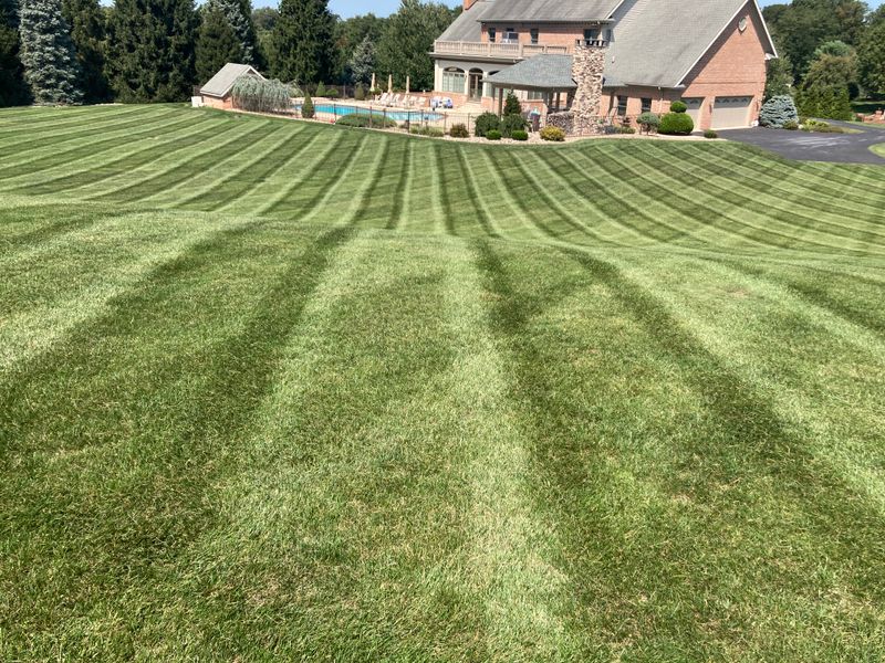 Lawn Mowing