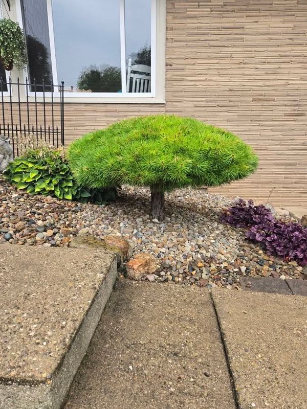 Landscape Design