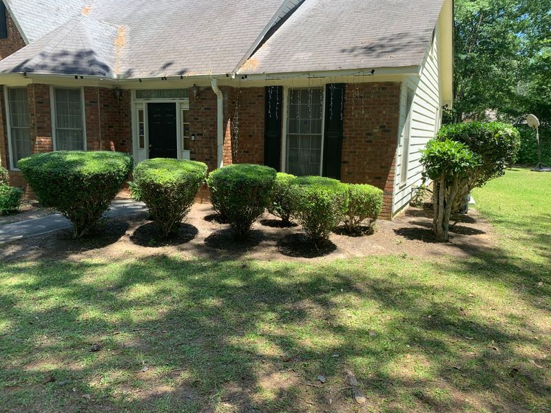 Tree and Shrub Care