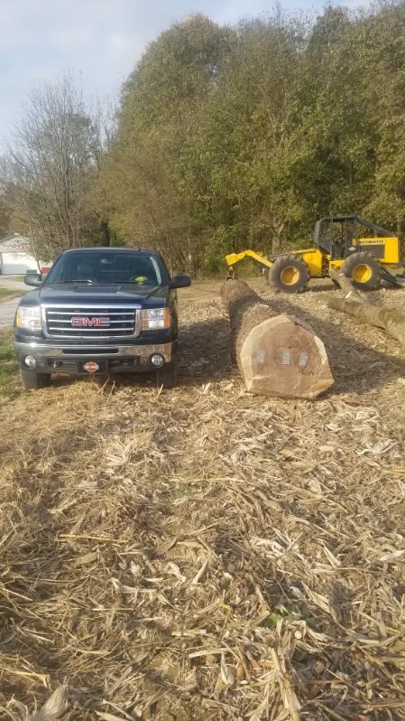 Timber Dealing