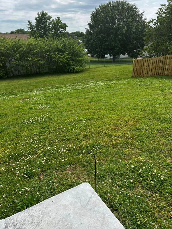 Lawn Care