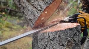 Stump removal