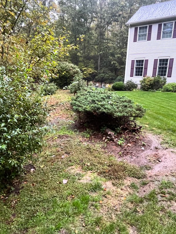 Landscaping gallery