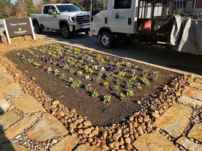 Landscape Design & Installation