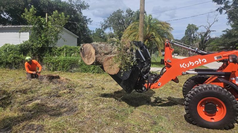Stump Grinding