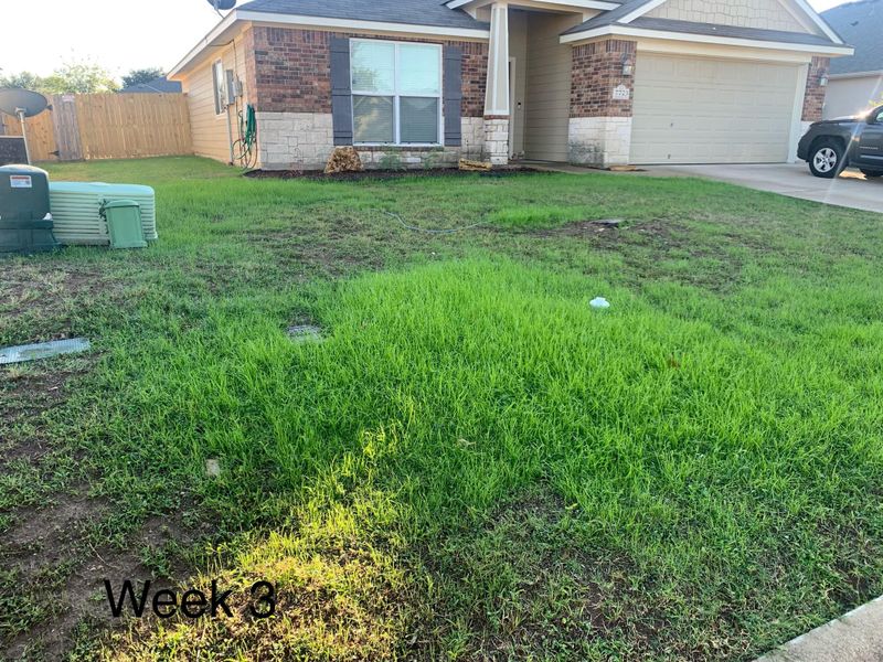 Lawn Care