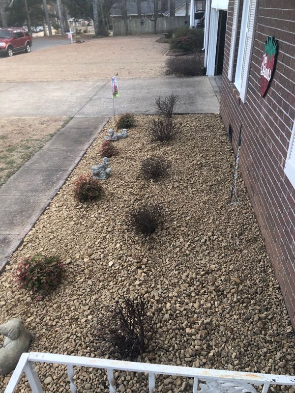 Landscape Design