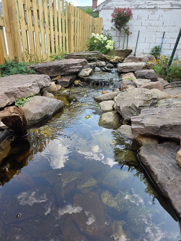 Ponds & Water Features