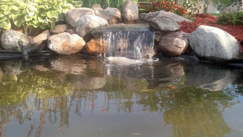 Water Features & Ponds