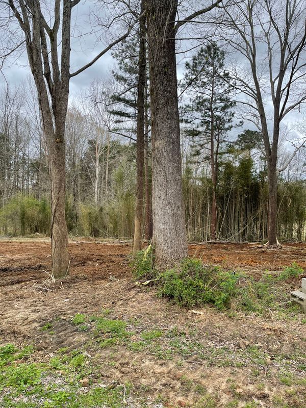 Forestry Mulching