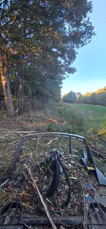 Brush Cutting