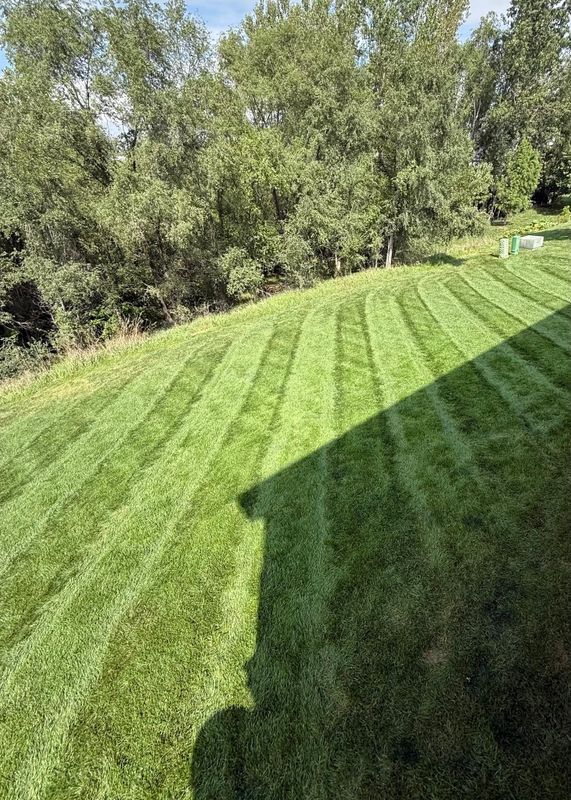 Tree & Shrub Care