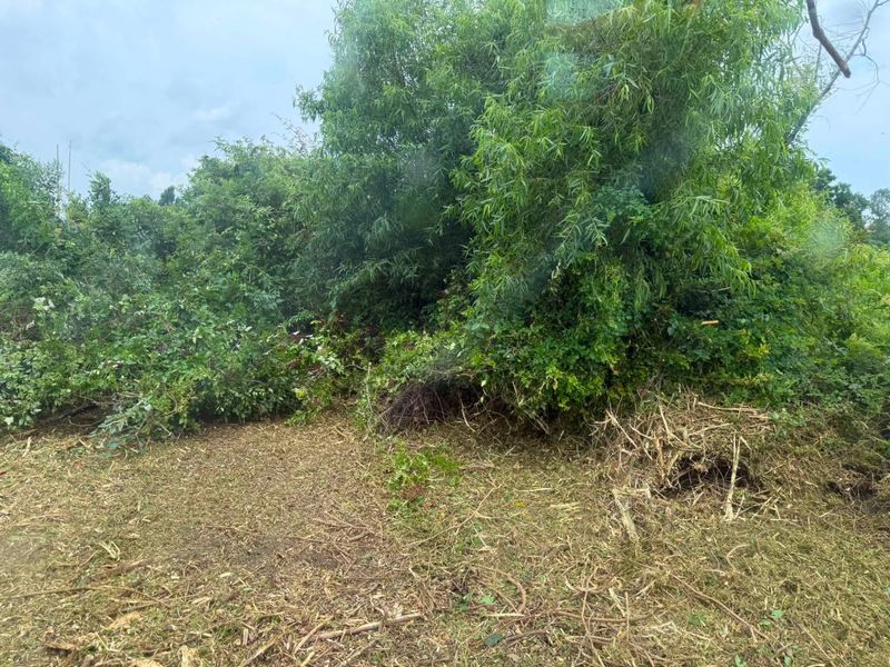 Land Clearing
