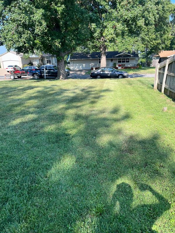 Lawn Maintenance