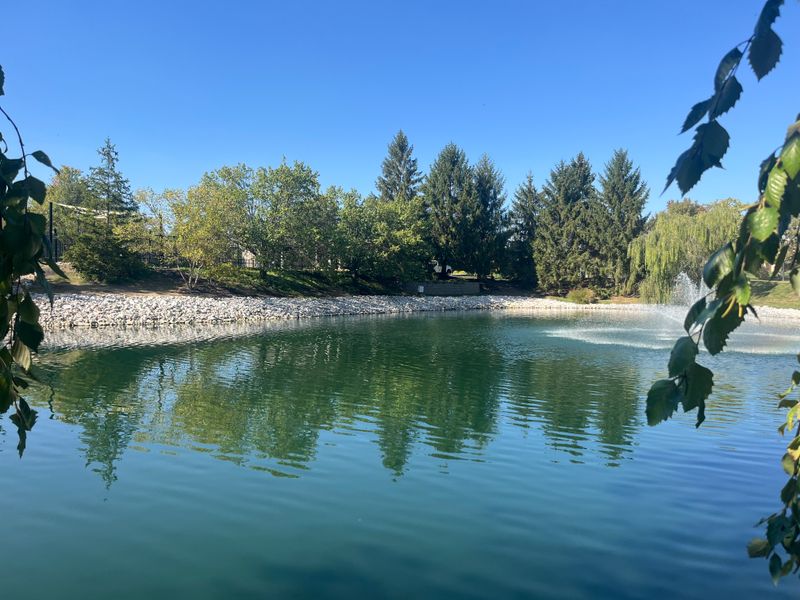Pond Projects