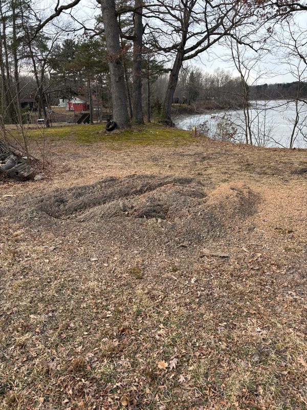 Stump Removal