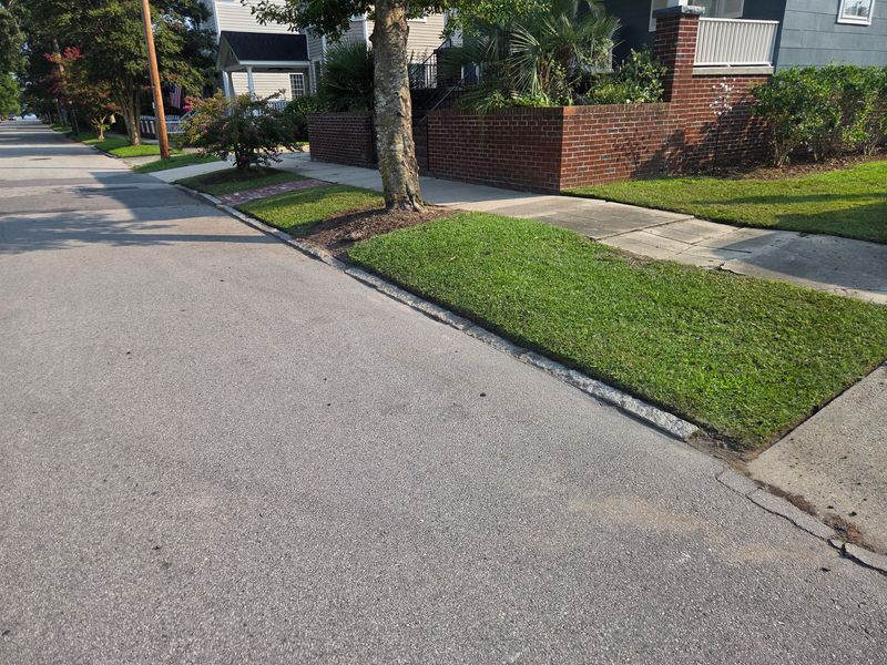 Routine Lawn Maintenance