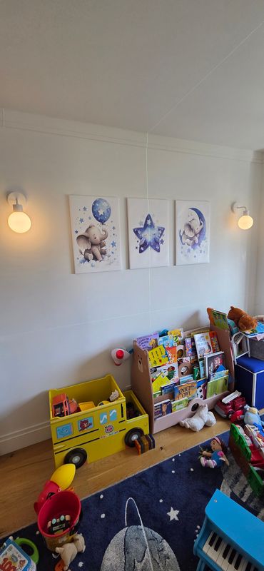 Picture hanging and art installations