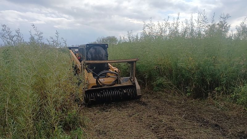 Forestry Mulching