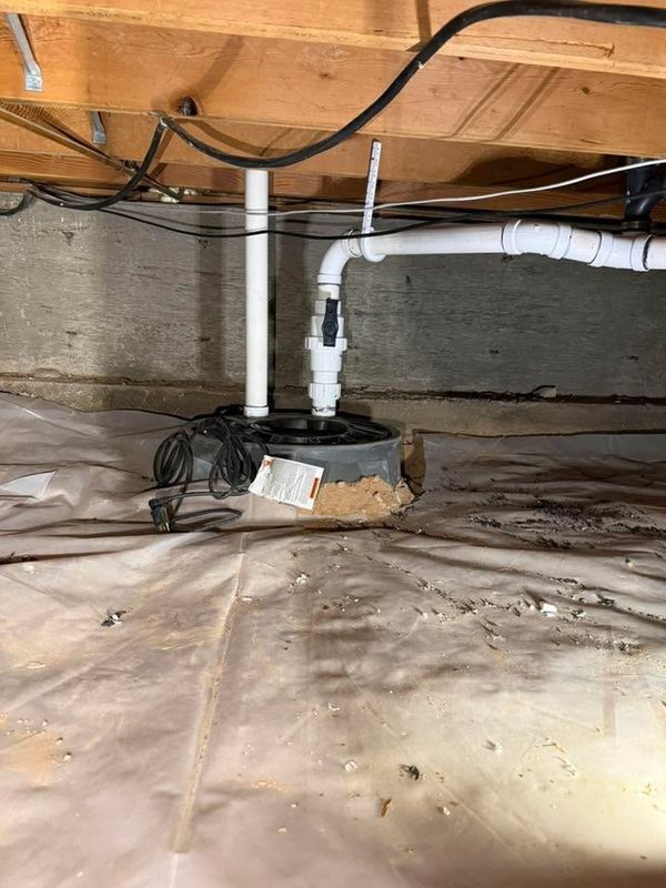 Pipe Repair and Replacement