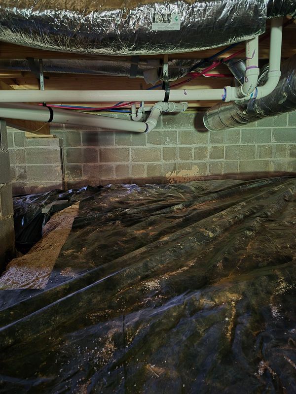 Water line, Sewer line and Drain line Repair and Replacement