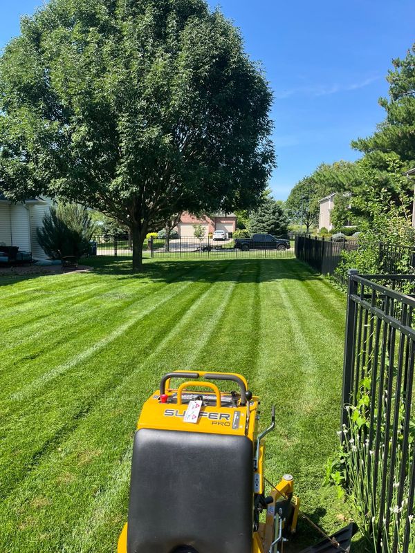 Lawn Maintenance