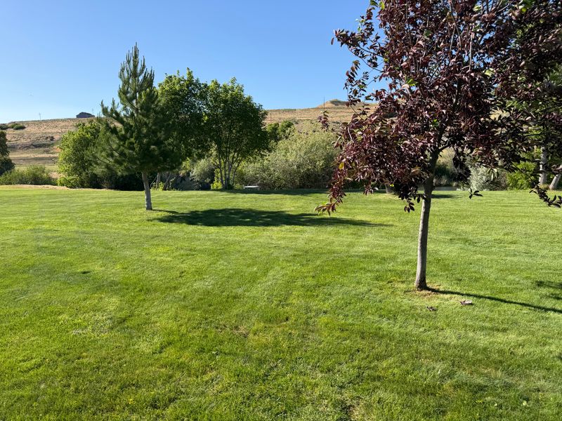 Lawn Care