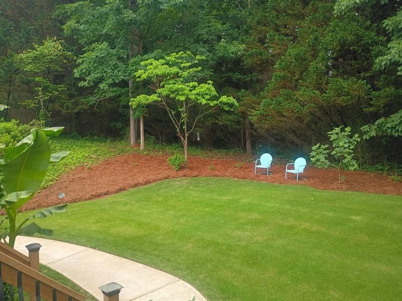 Pinestraw Installation