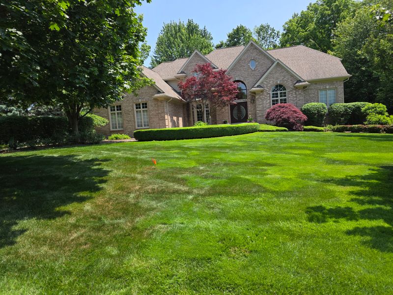 Mowing