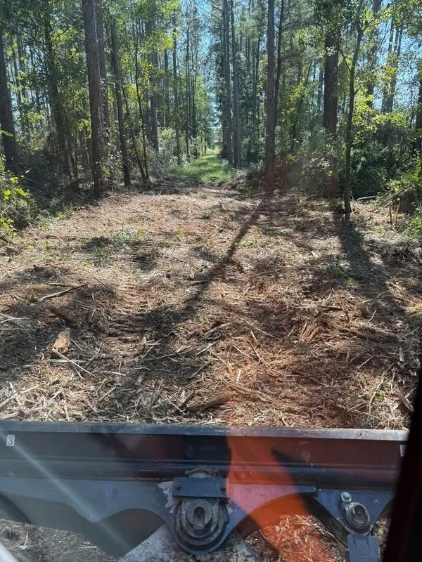 Land Clearing