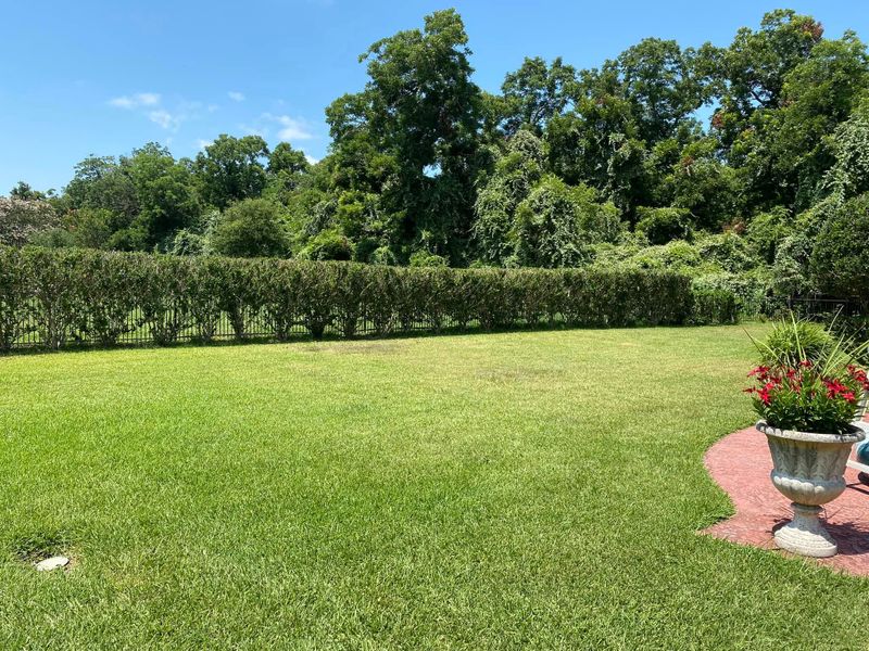 Shrub Trimming