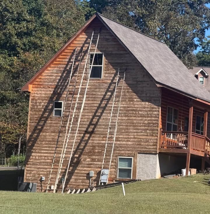 Staining Services